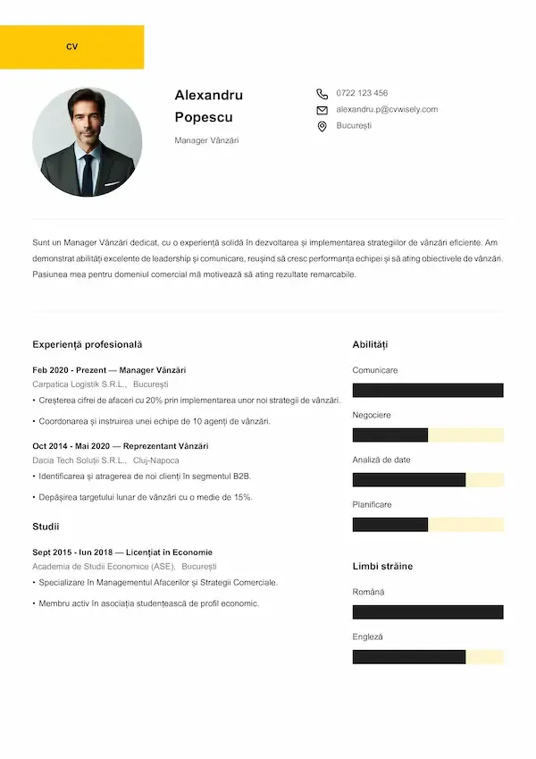 Model CV creativ cu rezumat al profilului