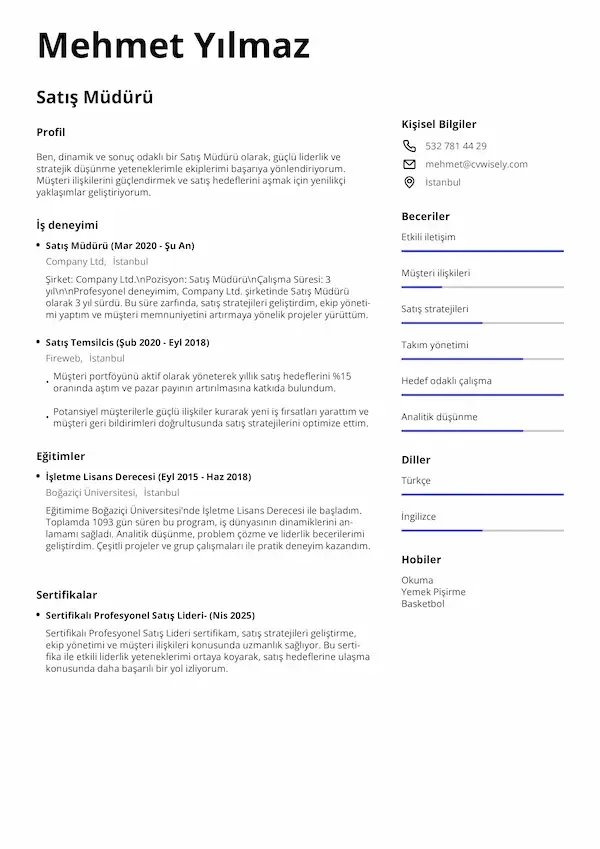 Modern özgeçmiş şablonu