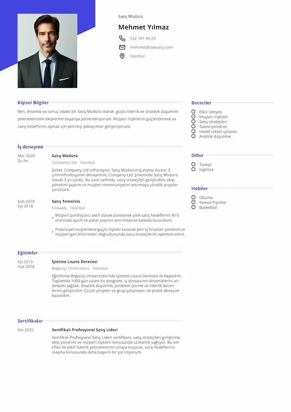 Profesyonel özgeçmiş şablonu